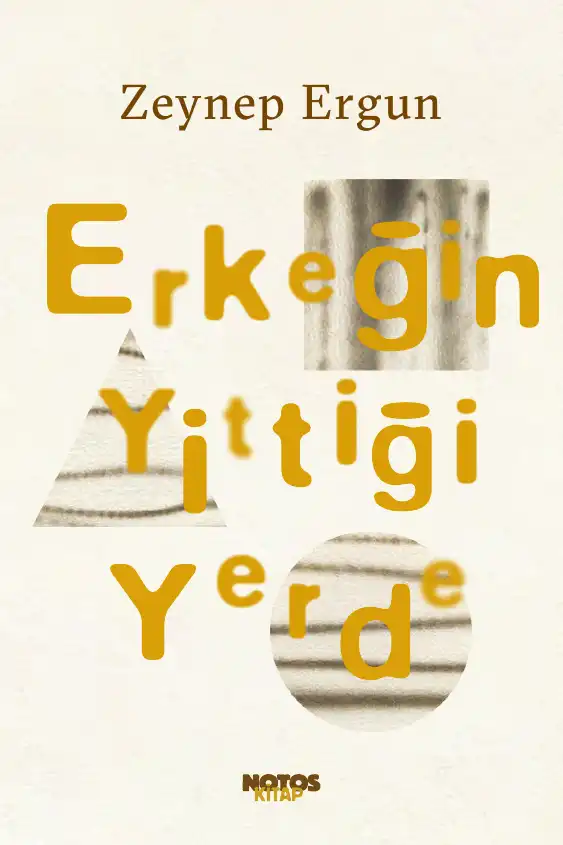 Erkeğin Yittiği Yerde: Yirmi Birinci Yüzyıl Türk Romanında Toplumsal ve Siyasal Arayışlar — Zeynep Ergun