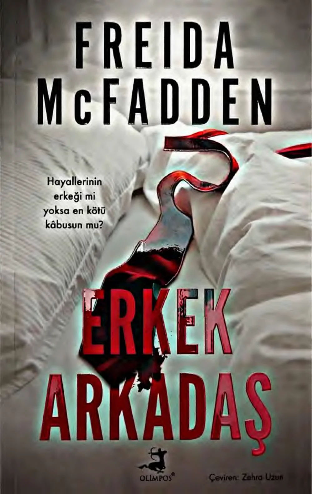 Erkek Arkadaş — Freida McFadden