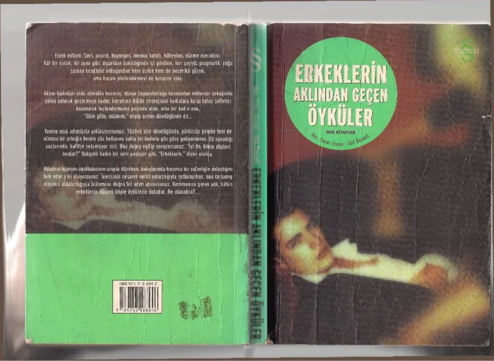 Erkeklerin Aklından Geçen Öyküler — Enver Ercan