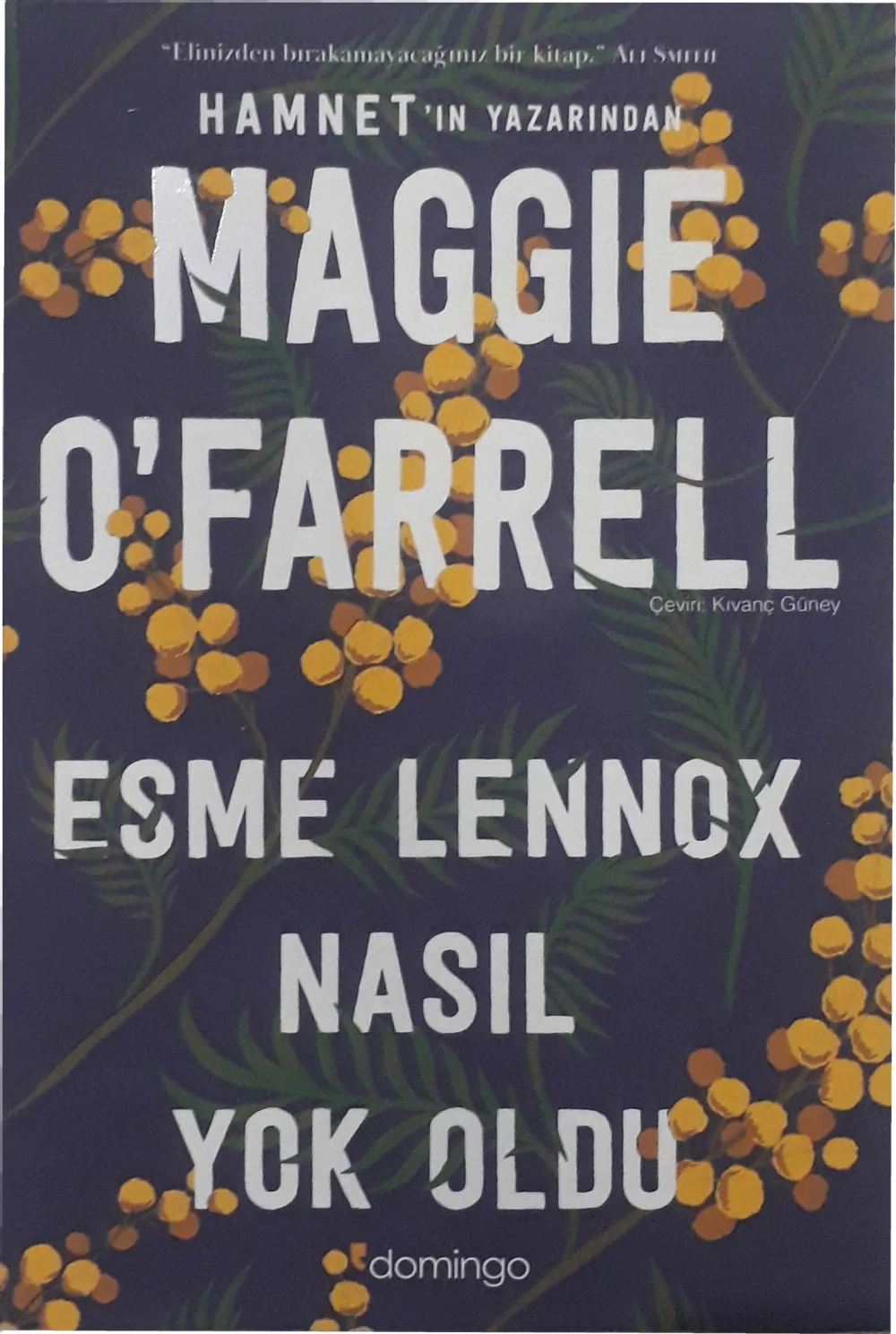 Esme Lennox Nasıl Yok Oldu — Maggie O'Farrell