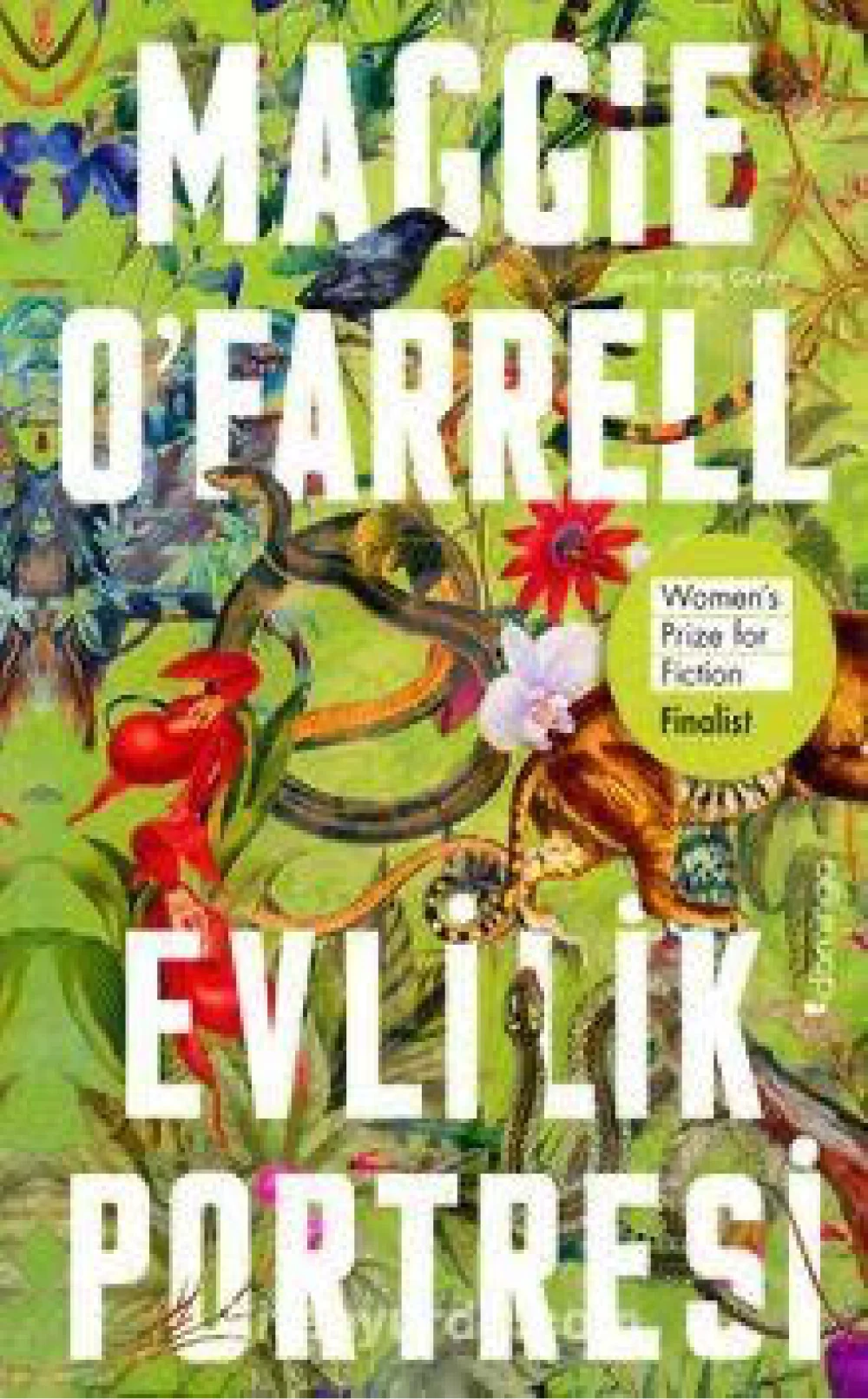 Evlilik Portresi — Maggie O'Farrell