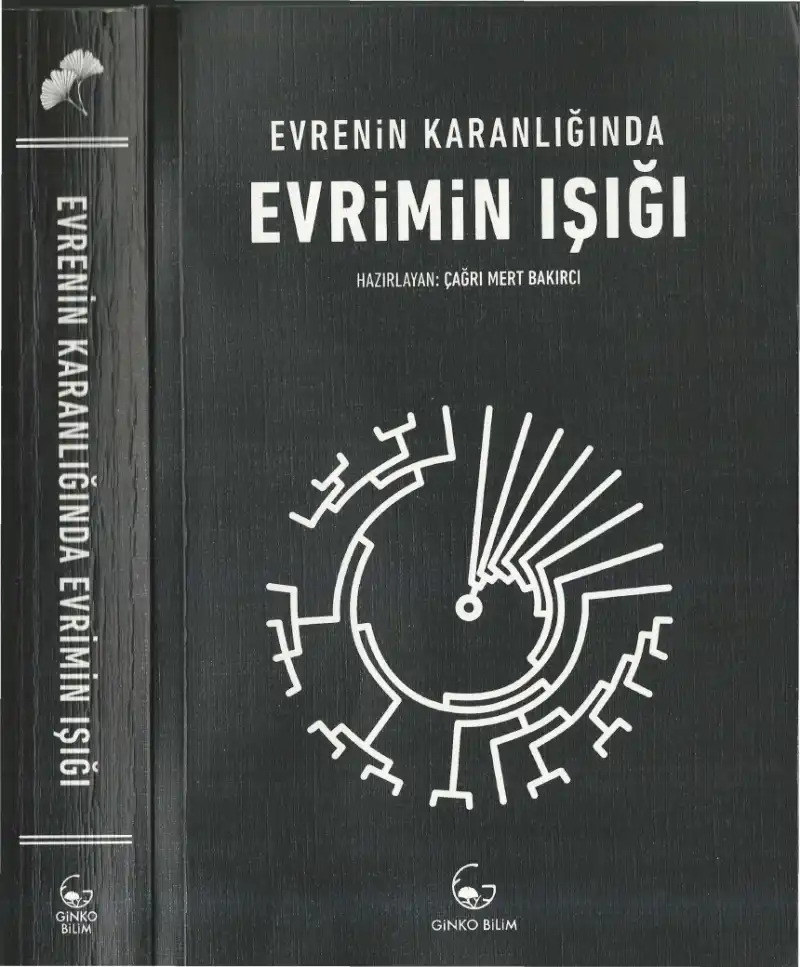 Evrenin Karanlığında Evrimin Işığı — Çağrı Mert Bakırcı