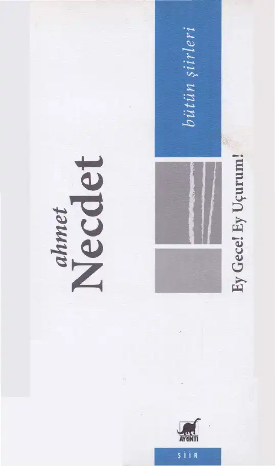 Ey Gece Ey Uçurum — Ahmet Necdet