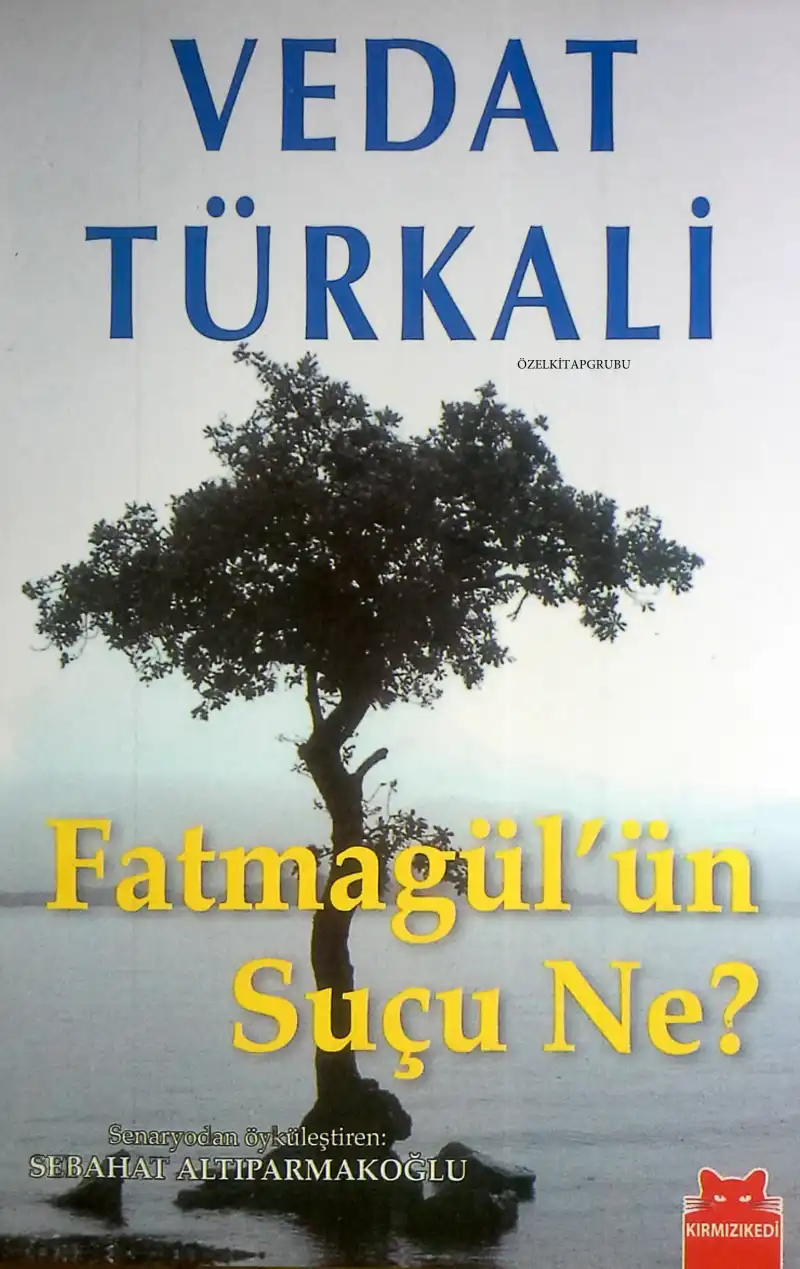 Fatmagül'ün Suçu Ne? — Vedat Türkali