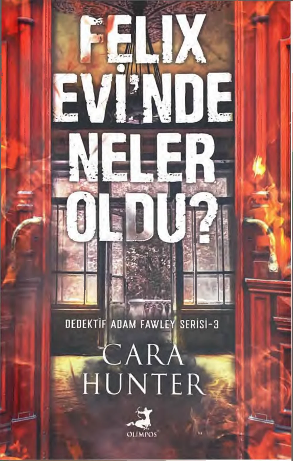 Felix Evinde Neler Oldu — Cara Hunter