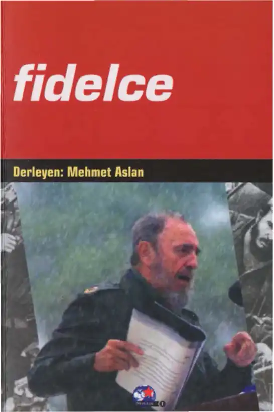 Fidelce Adımlar — Mehmet Aslan