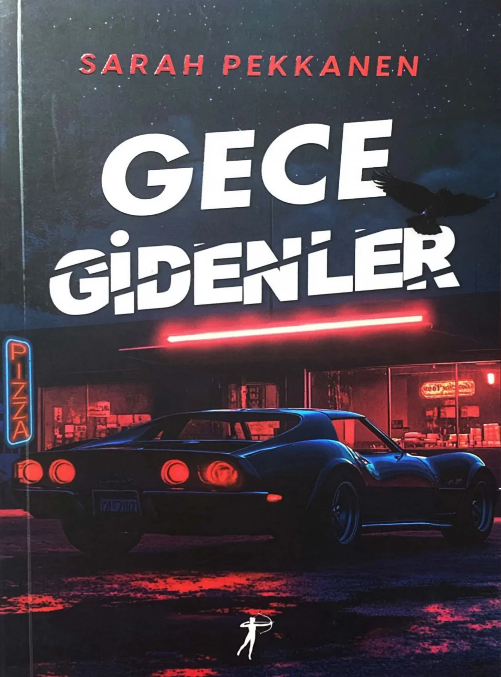 Gece Gidenler — Sarah Pekkanen