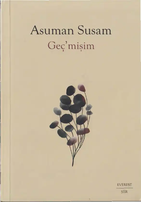 Geçmişim — Asuman Susam