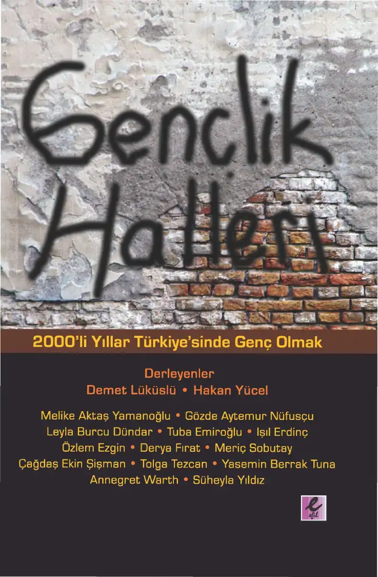 Gençlik Halleri: 2000'li Yıllar Türkiye'sinde Genç Olmak — Demet Lüküslü, Hakan Yücel