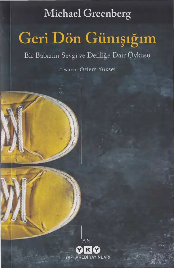 Geri Dön Günışığım — Michael Greenberg