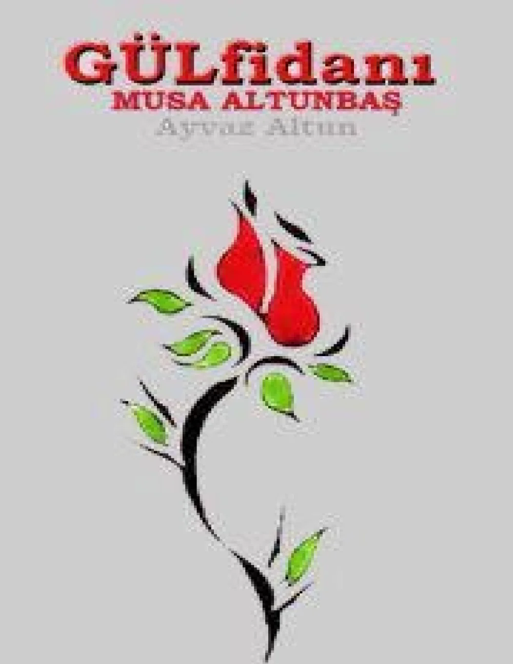 Gülfidanı — Musa Altunbaş (Ayvaz Altun)