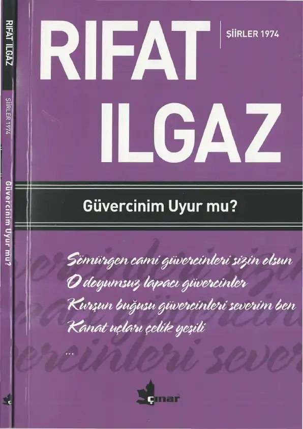 Güvercinim Uyur Mu? — Rıfat İlgaz