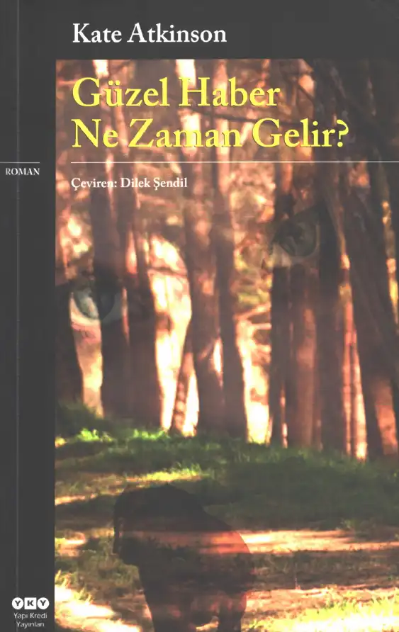 Güzel Haber Ne Zaman Gelir? — Kate Atkinson