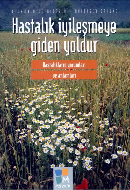 Hastalığa Giden Yollar — Thorwald Dethlefsen ve Ruediger Dahlke
