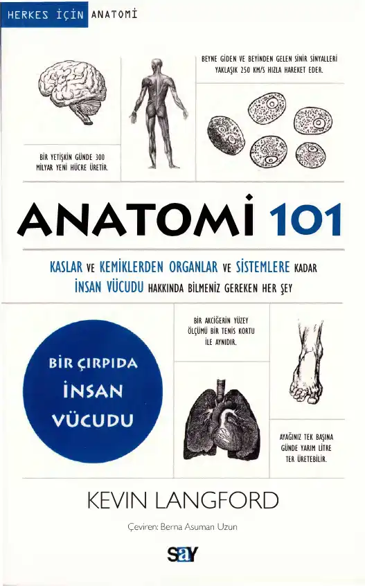 Herkes İçin Anatomi — Kevin Langford
