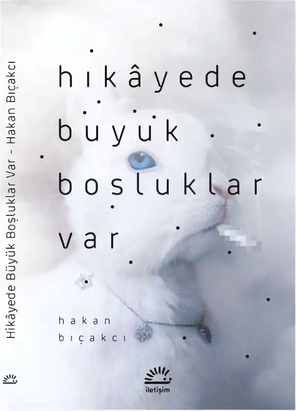 Hikayede Büyük Boşluklar Var — Hakan Bıçakcı