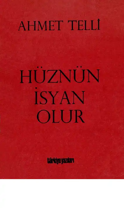 Hüznün İsyan Olur Türkiye Yazıları — Ahmet Telli