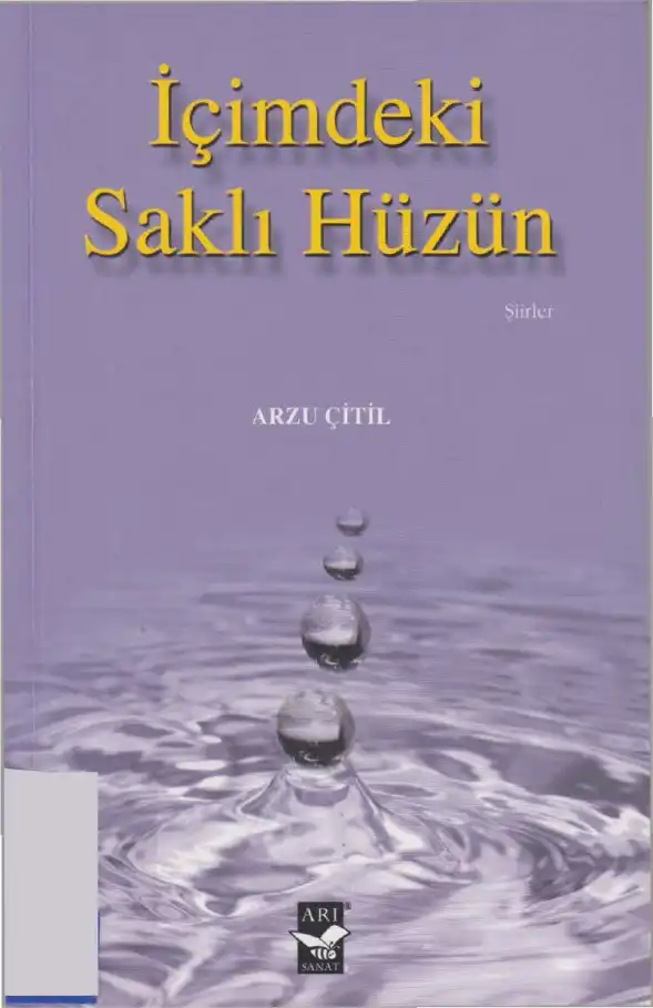 İçimdeki Saklı Hüzün — Arzu Çitil