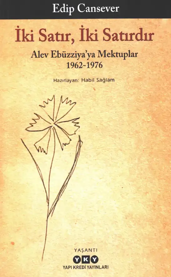 İki Satır, İki Satırdır - Alev Ebüzziya'ya Mektuplar 1962-1976 — Edip Cansever
