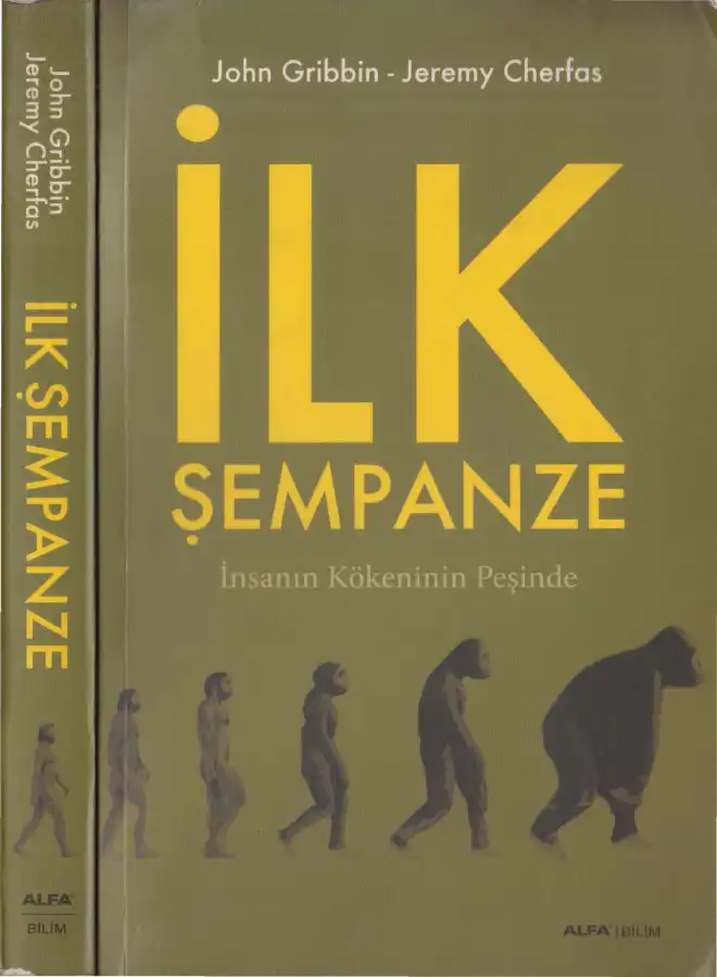 İlk Şempanze: İnsanın Kökeninin Peşinde — John Gribbin ve Jeremy Cherfas