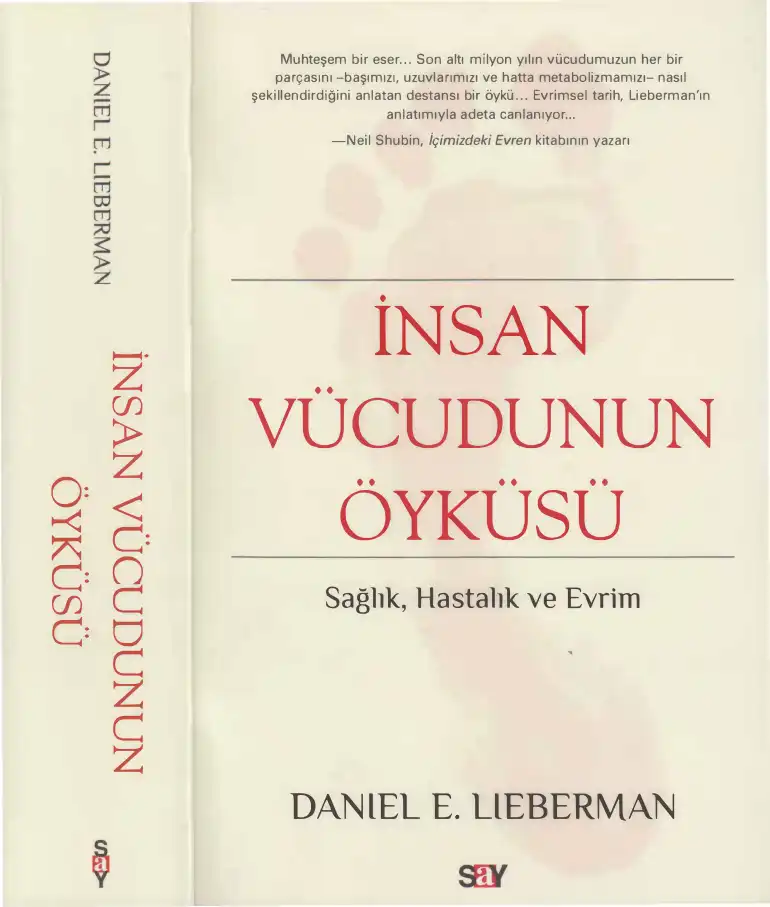 İnsan Vücudunun Öyküsü — Daniel E. Lieberman