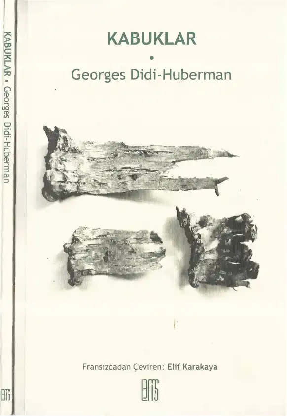 Kabuklar — Georges Didi-Huberman