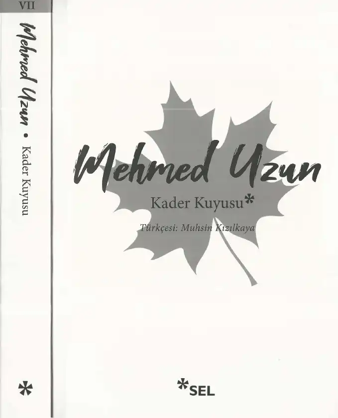 Kader Kuyusu — Mehmed Uzun