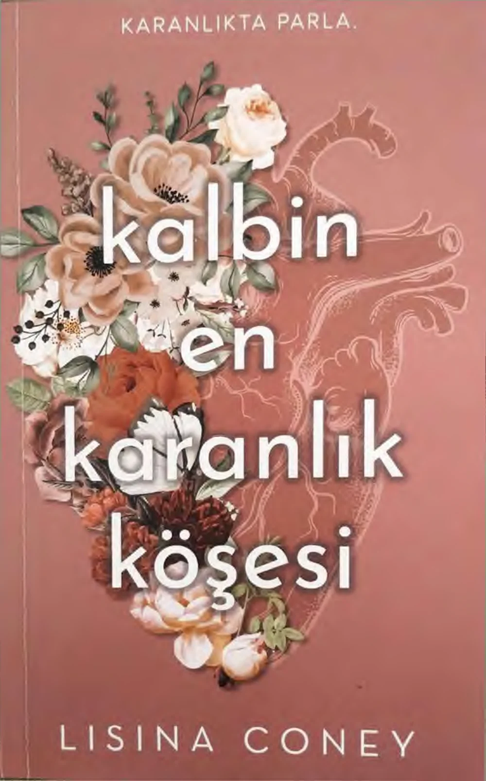 Kalbin En Karanlık Köşesi — Lisina Coney