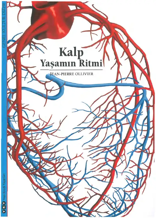 Kalp Yaşamın Ritmi — Jean Pierre Ollivier
