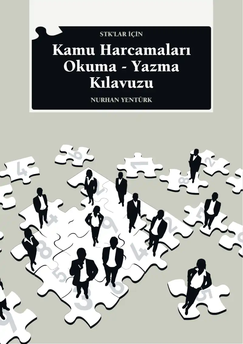 Kamu Harcamaları Okuma-Yazma Kılavuzu — Nurhan Yentürk, Yiğit Aksakoğlu, Alper Akyüz