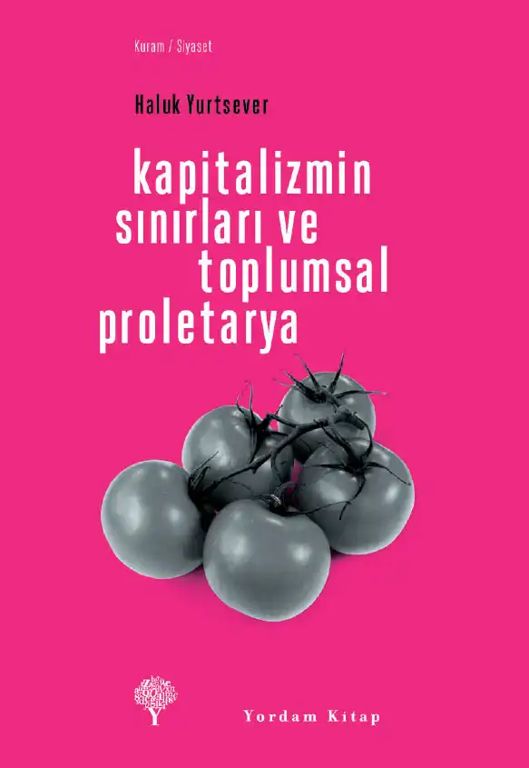 Kapitalizmin Sınırları ve Toplumsal Proletarya — Haluk Yurtsever
