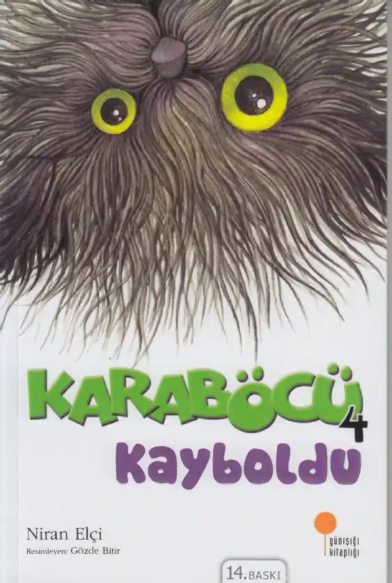 Kara Böcü İv Karaböcü Kayboldu — Niran Elçi
