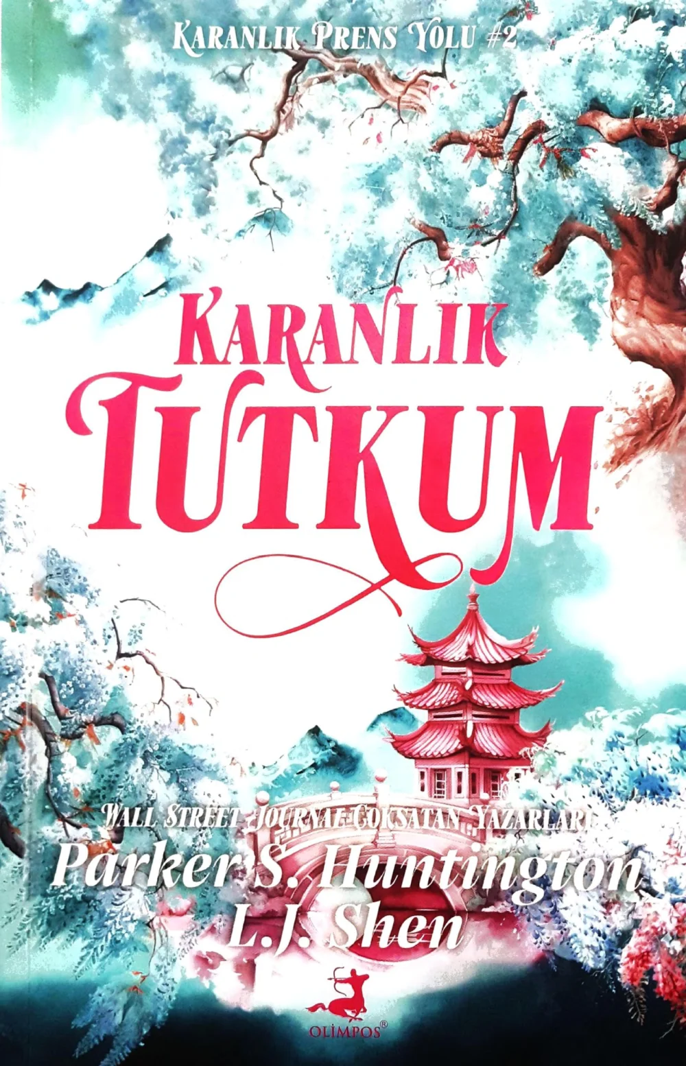 Karanlık Tutkum — Bilinmiyor