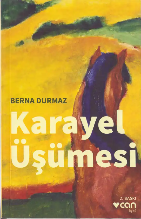 Karayel Üşümesi — Berna Durmaz