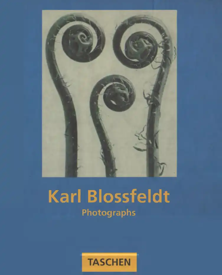 Karl Blossfeldt: Photographs — Karl Blossfeldt