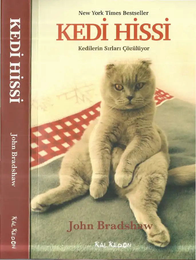 Kedi Hissi: Kedilerin Sırları Çözülüyor — John Bradshaw