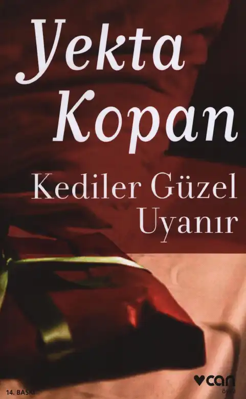 Kediler Güzel Uyanır — Yekta Kopan