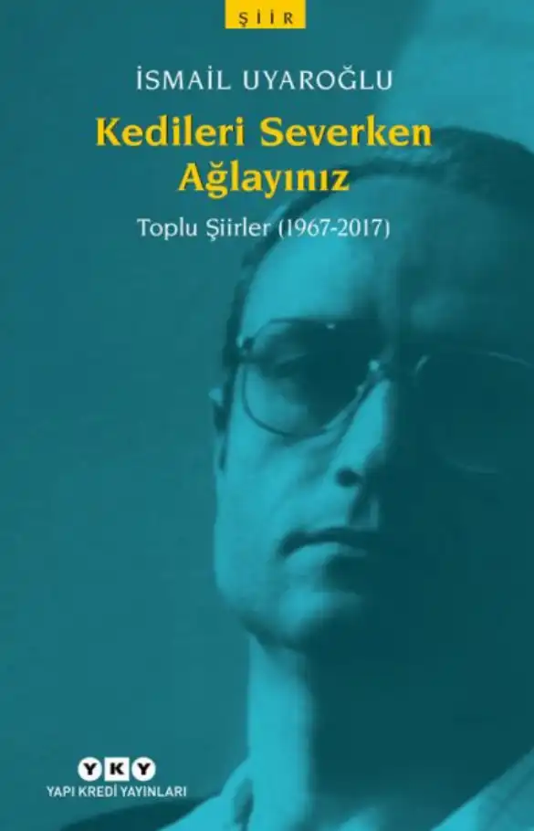 Kedileri Severken Ağlayınız — İsmail Uyaroğlu