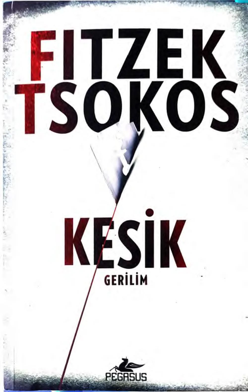Kesik — Sebastian Fitzek, Michael Tsokos