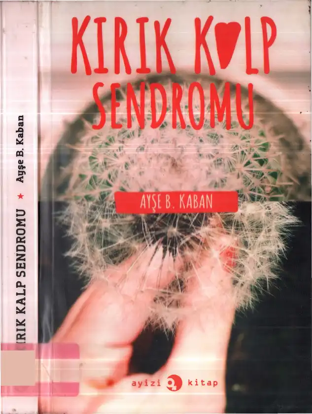 Kırık Kalp Sendromu — Ayşe Başak Kaban