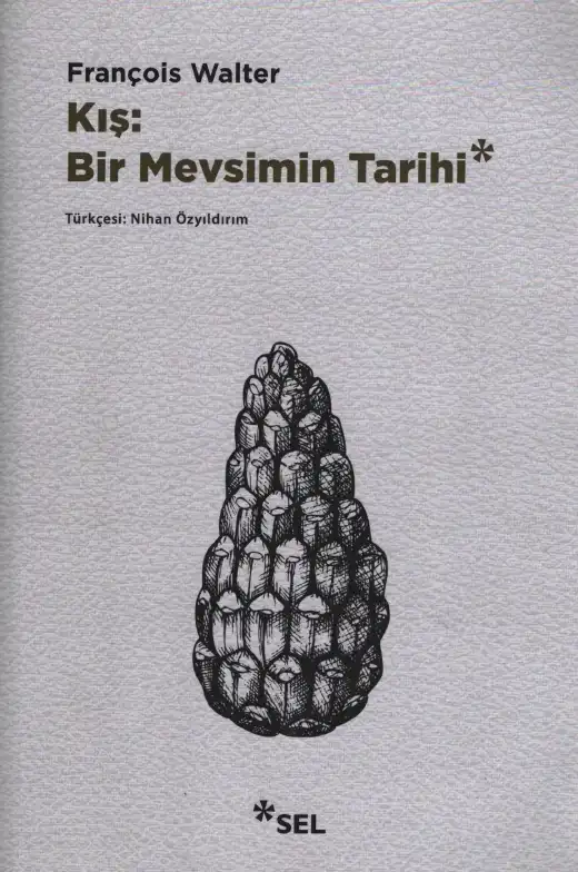 Kış: Bir Mevsimin Tarihi — François Walter