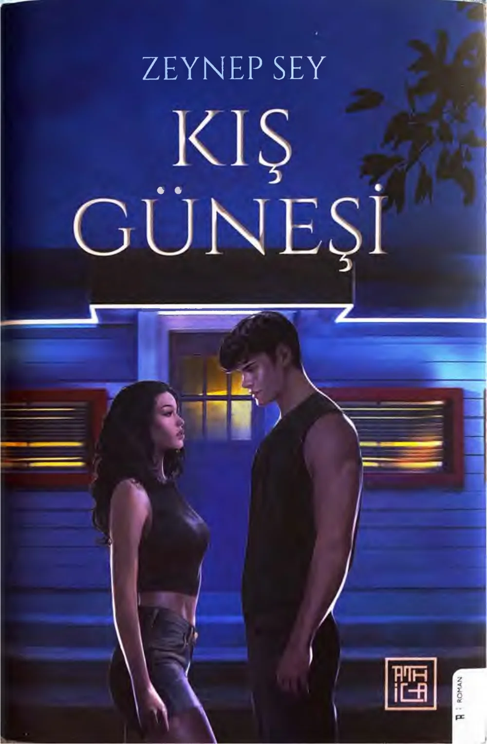 Kış Güneşi — Zeynep Sey