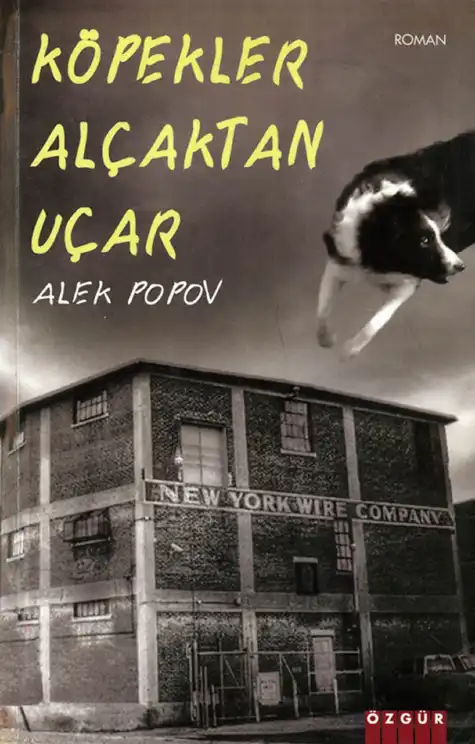 Köpekler Alçaktan Uçar — Alek Popov