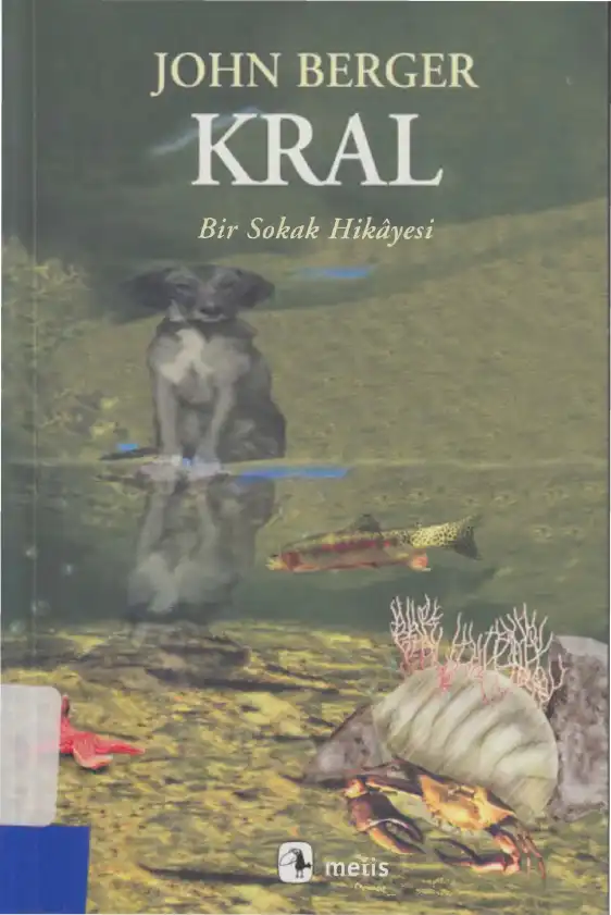 Kral: Bir Sokak Hikayesi — John Berger