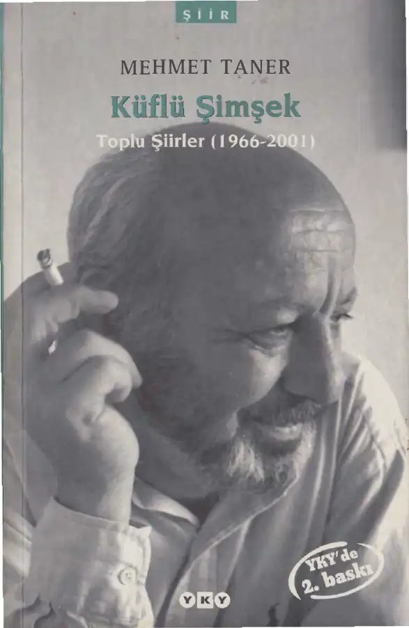 Küflü Şimşek Toplu Şiirler (1966-2001) — Mehmet Taner