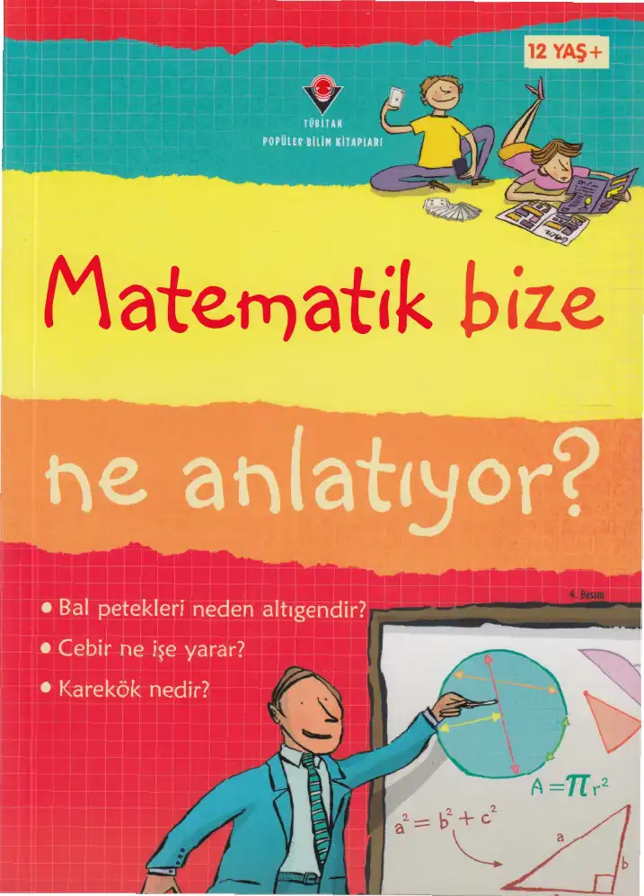 Matematik Bize Ne Anlatıyor? — Alex Frith, Minna Lacey, Lisa Jane Gillespie