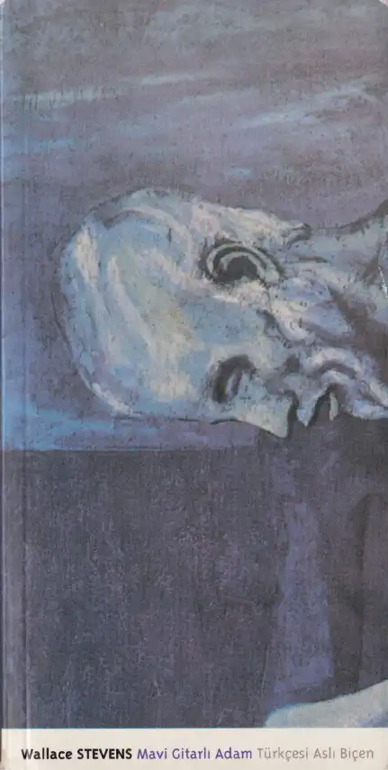 Mavi Gitarlı Adam — Wallace Stevens