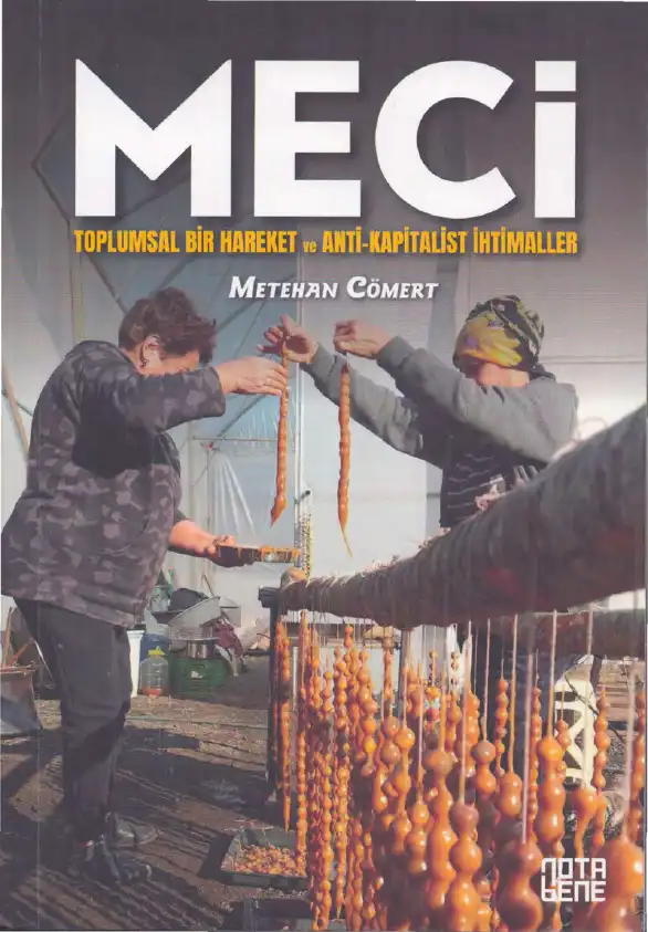 Meci: Toplumsal Bir Hareket ve Anti-Kapitalist İhtimaller — Metehan Cömert