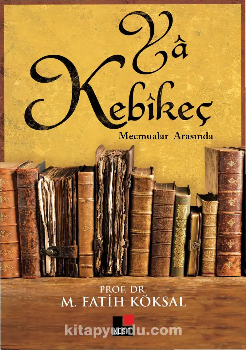 Mecmualar Arasında — M. Fatih Köksal