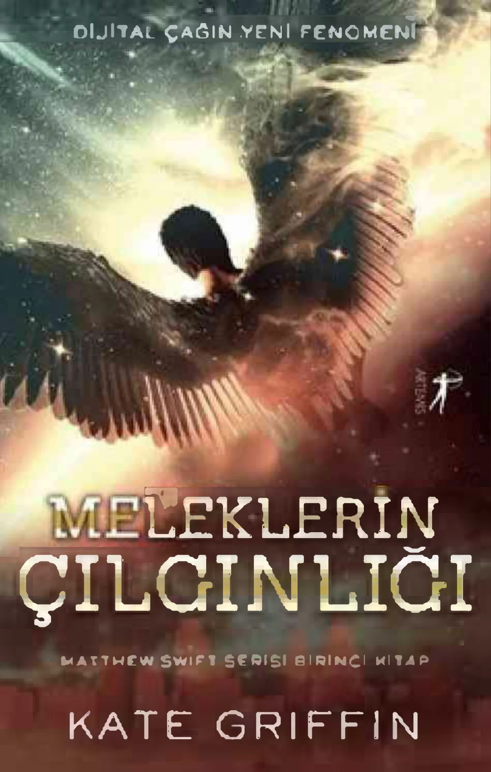 Meleklerin Çılgınlığı — Kate Griffin